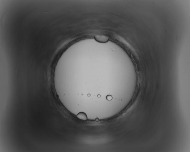 X0000100401259200806060847