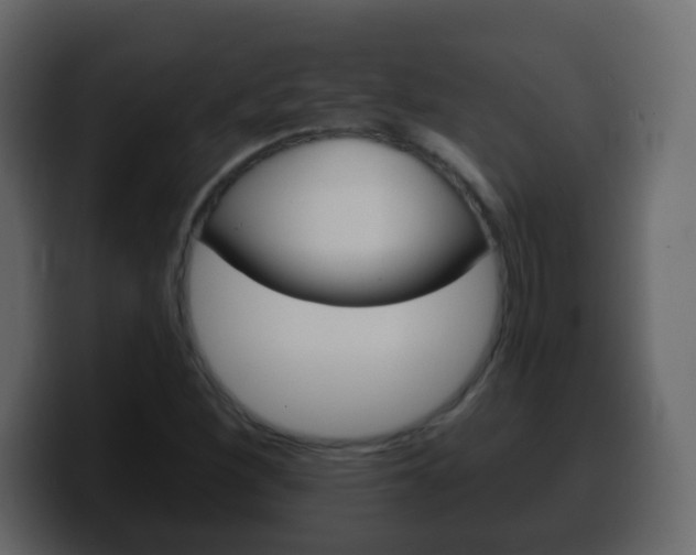 X0000100401260200806060847