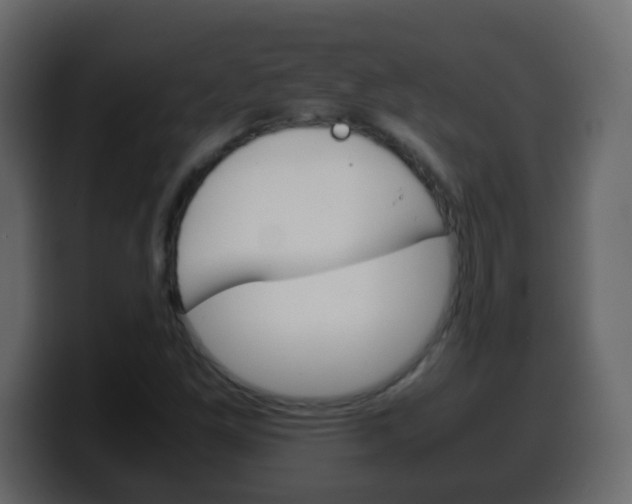 X0000100401261200806060847