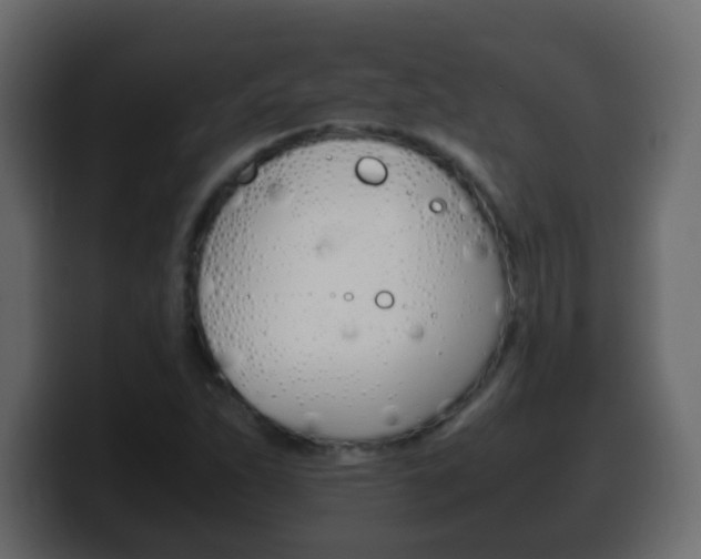 X0000100401263200806060847