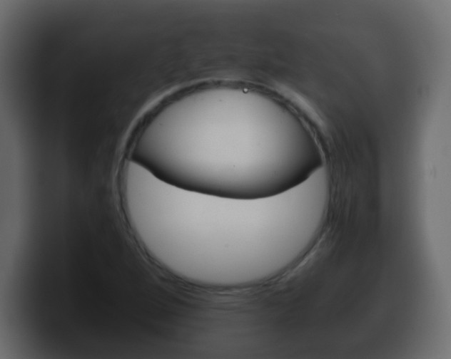 X0000100401264200806060847