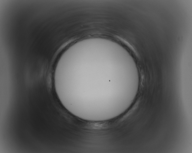 X0000100401266200806060847