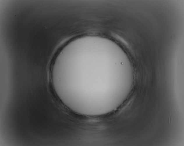 X0000100401267200806060847
