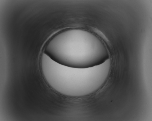 X0000100401268200806060847
