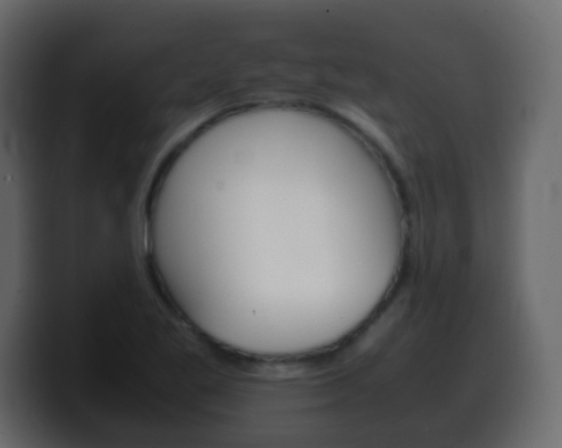 X0000100401269200806060847