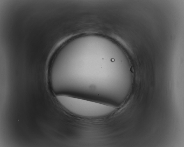 X0000100401270200806060847
