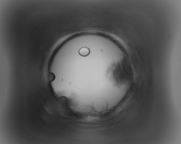 X0000100401271200806060847