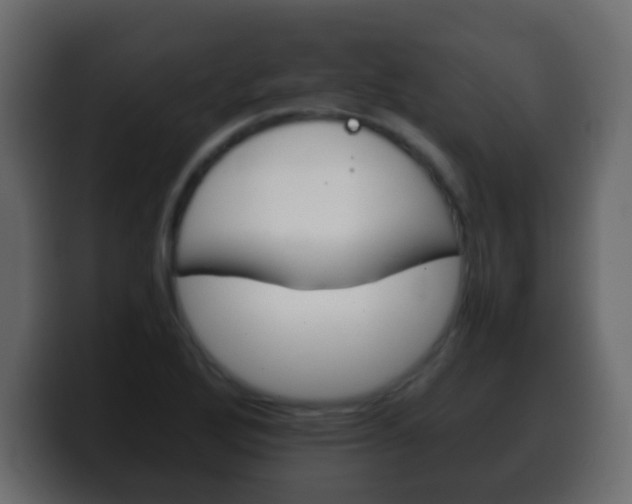X0000100401272200806060847