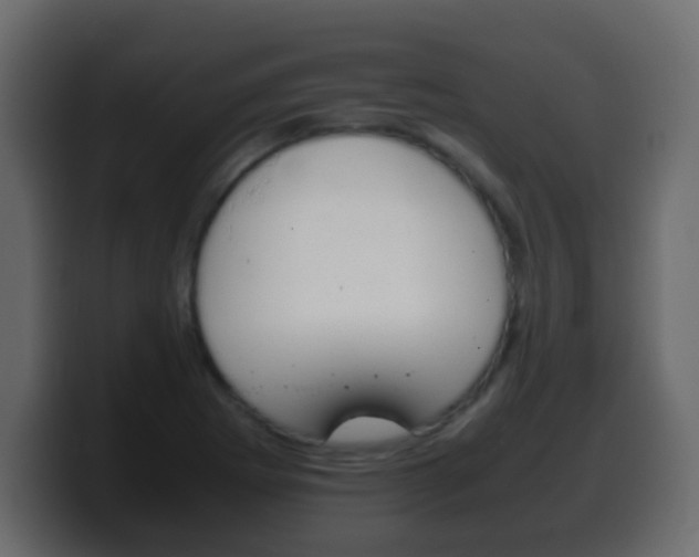 X0000100401273200806060847