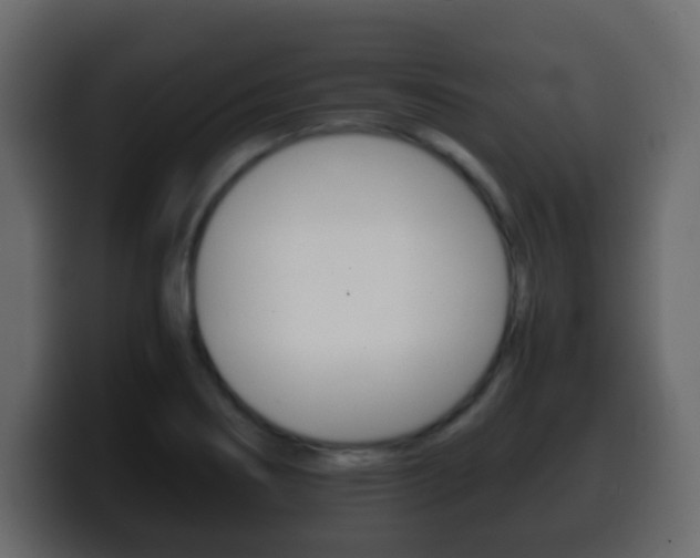 X0000100401274200806060847