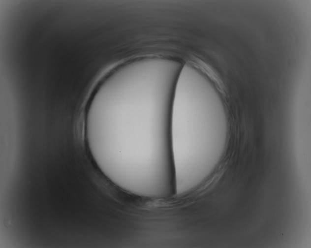 X0000100401275200806060847
