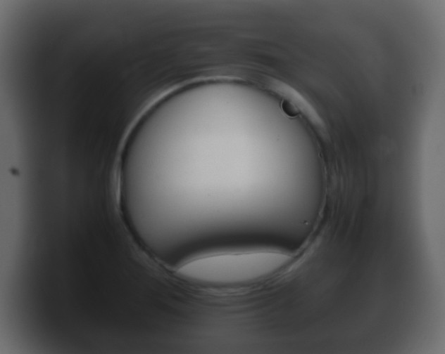 X0000100401276200806060847