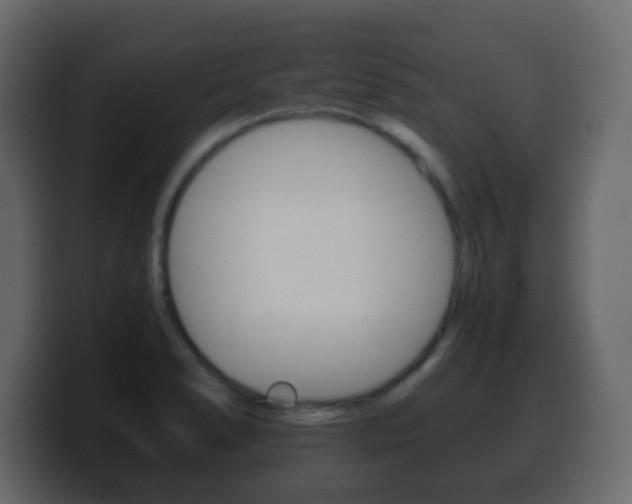 X0000100401278200806060847