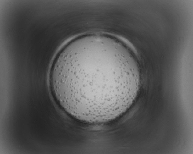 X0000100401279200806060846