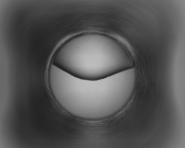 X0000100401280200806060846