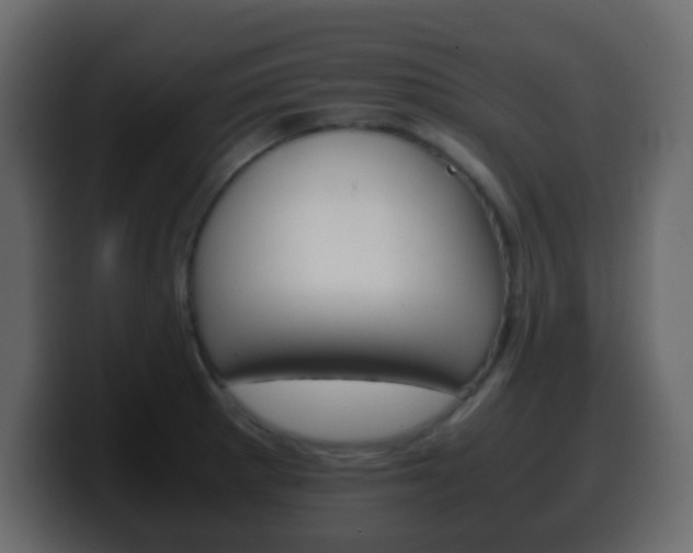 X0000100401281200806060846