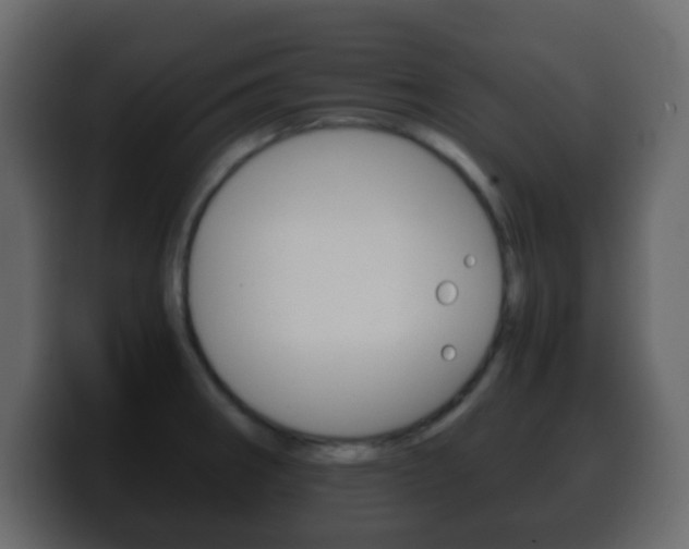 X0000100401282200806060846