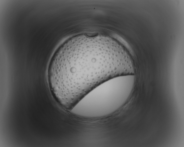 X0000100401283200806060846