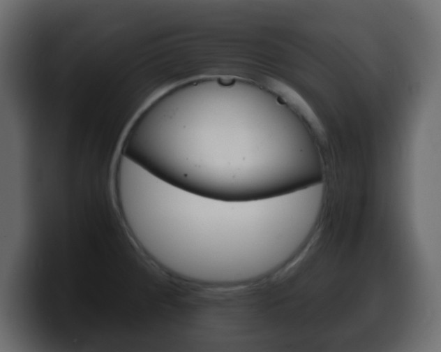 X0000100401284200806060846