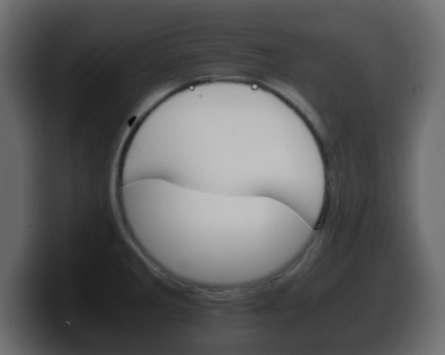 X0000100401285200806060846