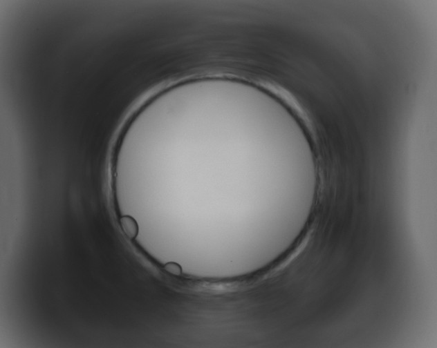 X0000100401286200806060846