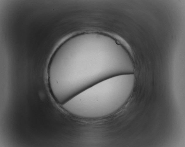 X0000100401287200806060846