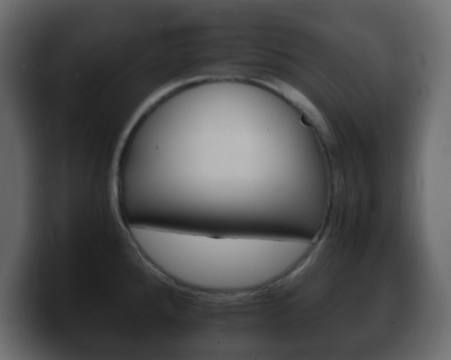 X0000100401288200806060846