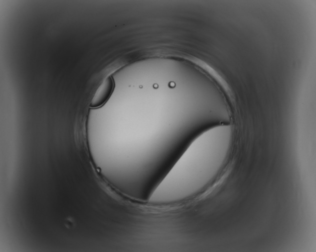 X0000100401289200806060846