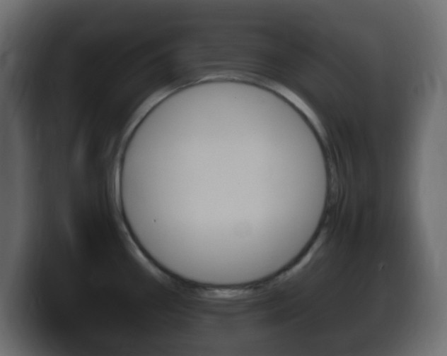 X0000100401290200806060846