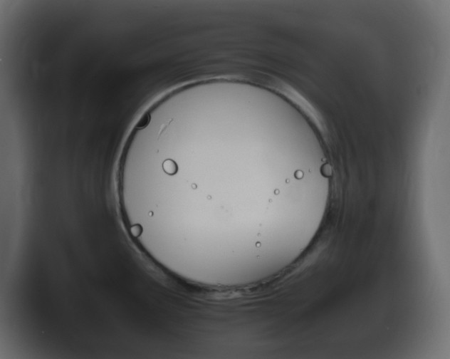 X0000100401291200806060846