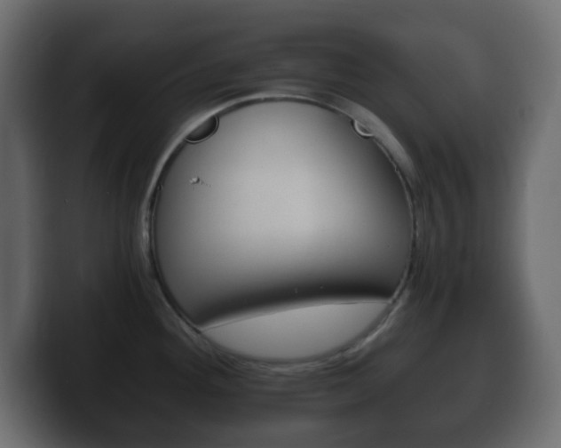 X0000100401292200806060846