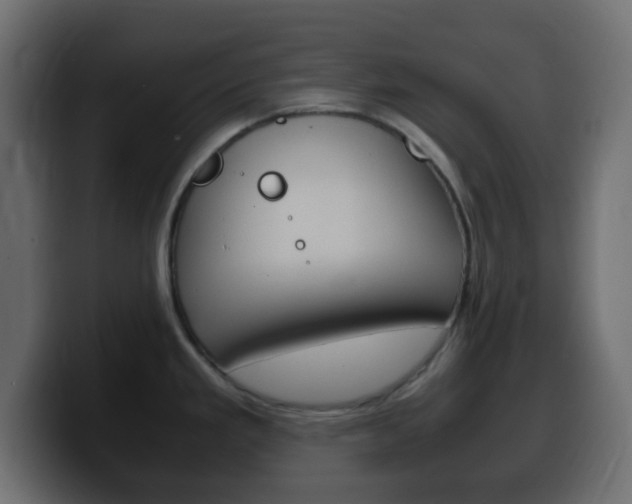 X0000100401293200806060846