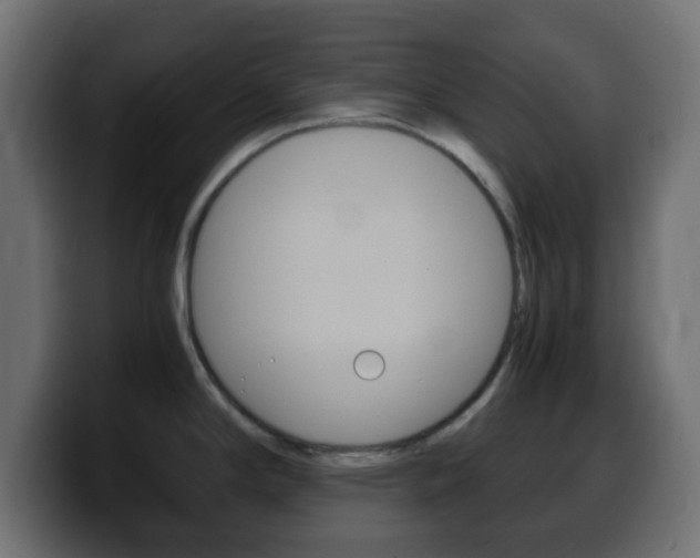 X0000100401294200806060846