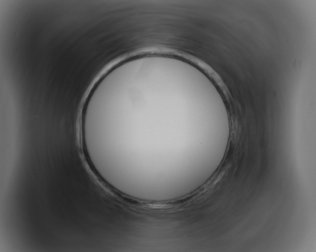 X0000100401295200806060846