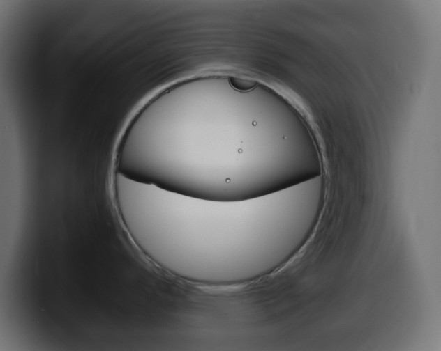 X0000100401296200806060846