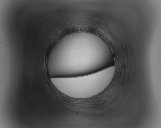 X0000100401298200806060846