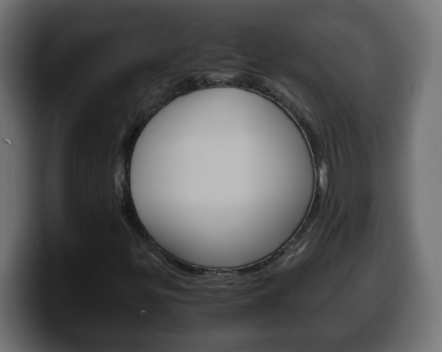 X0000100401299200806060846