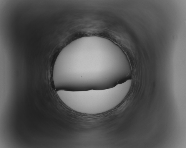 X0000100401300200806060846