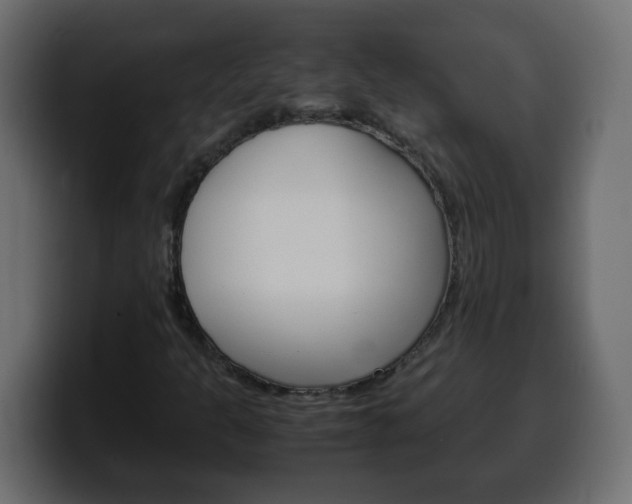 X0000100401301200806060846
