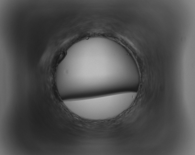 X0000100401303200806060846