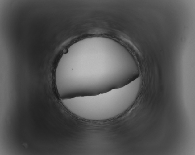 X0000100401304200806060846
