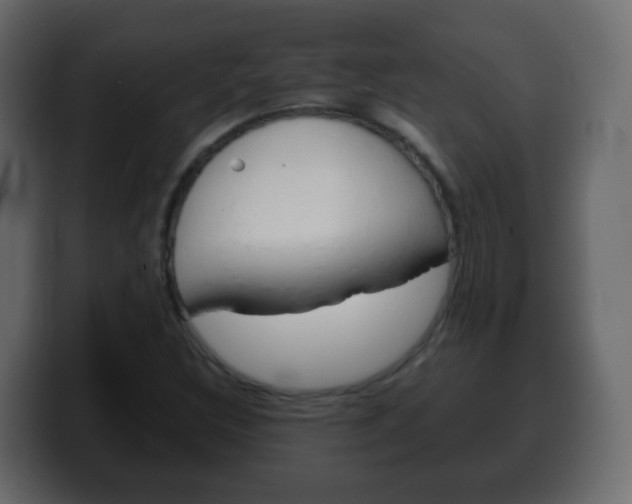 X0000100401308200806060846