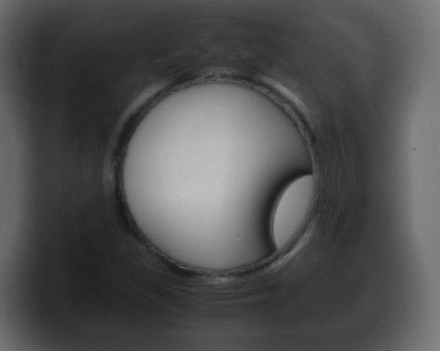 X0000100401309200806060846