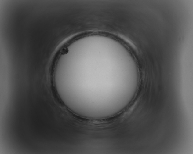 X0000100401311200806060846