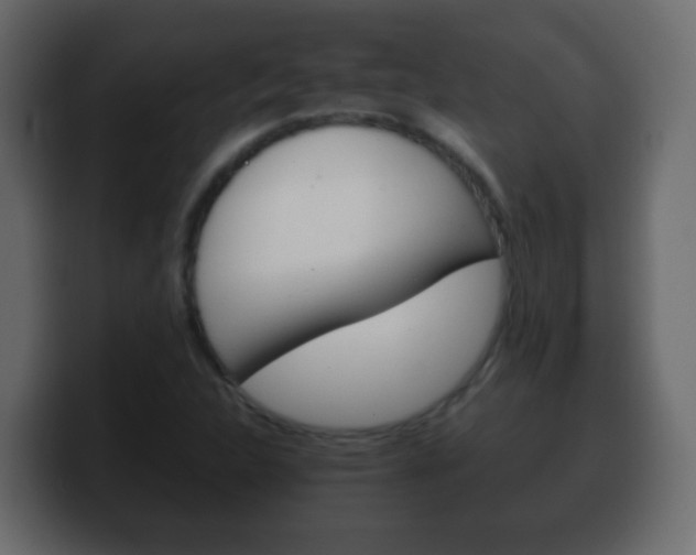 X0000100401312200806060846