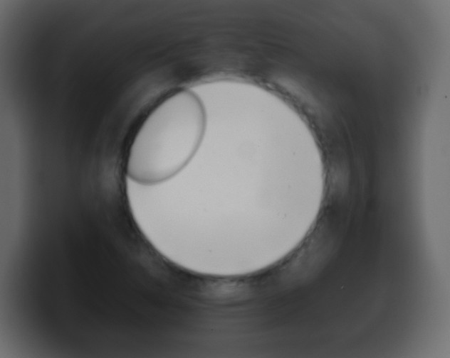 X0000100401314200806060846