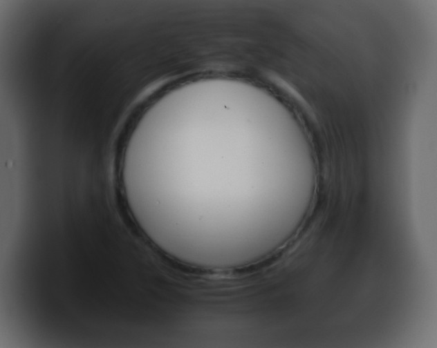 X0000100401315200806060846