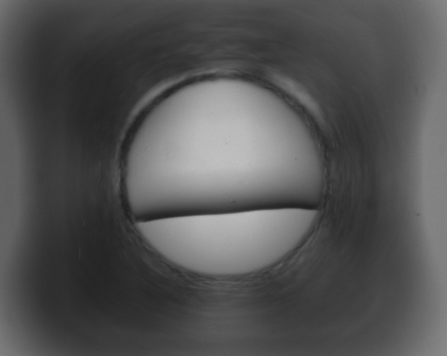X0000100401316200806060846