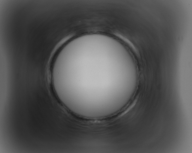 X0000100401317200806060846