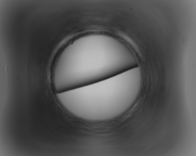 X0000100401318200806060846